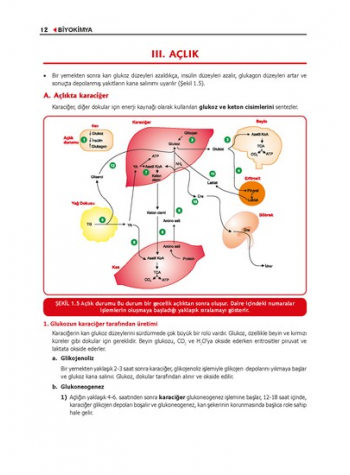 ProspekTUS BİYOKİMYA Konu Kit. ( 5.Baskı )