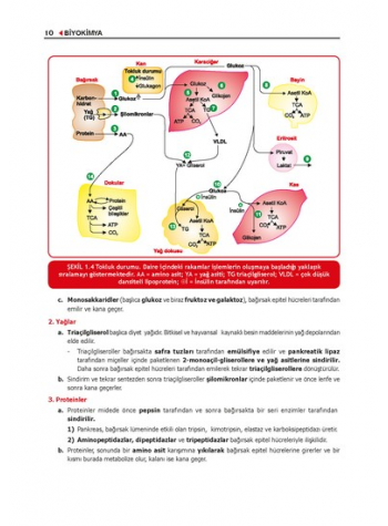 ProspekTUS BİYOKİMYA Konu Kit. ( 5.Baskı )