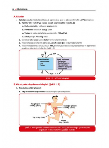 ProspekTUS BİYOKİMYA Konu Kit. ( 5.Baskı )