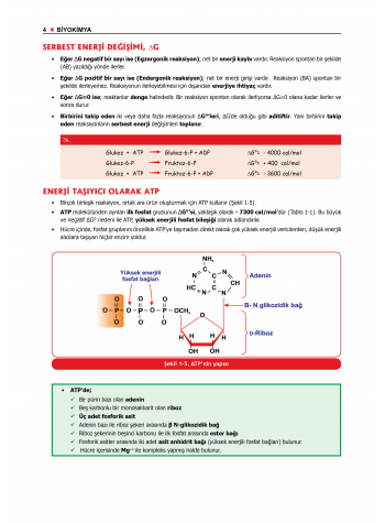 ProspekTUS Fakülte-Komite BİYOKİMYA