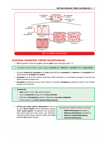 ProspekTUS Fakülte-Komite BİYOKİMYA
