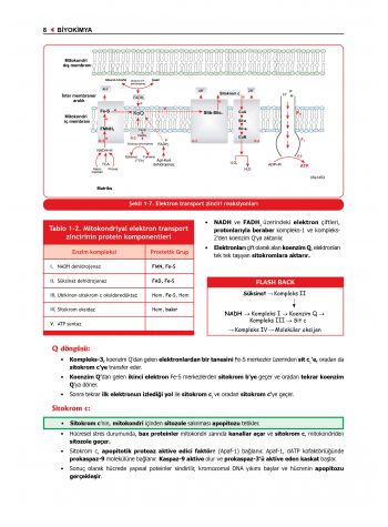 ProspekTUS Fakülte-Komite BİYOKİMYA
