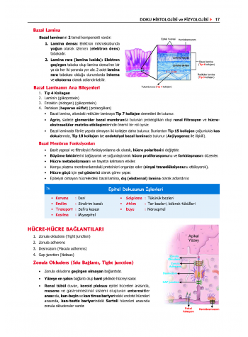 ProspekTUS Fakülte-Komite FİZYOLOJİ