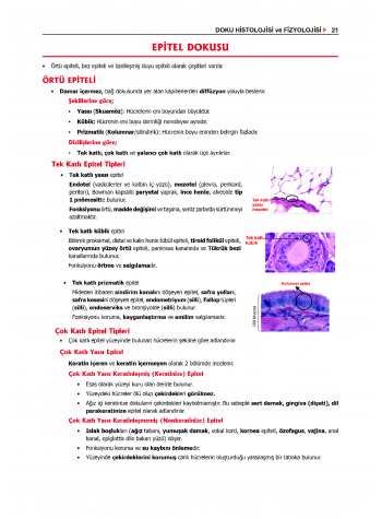 ProspekTUS Fakülte-Komite FİZYOLOJİ ProspekTUS Fakülte-Komite FİZYOLOJİ