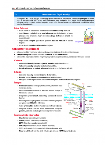 ProspekTUS Fakülte-Komite FİZYOLOJİ ProspekTUS Fakülte-Komite FİZYOLOJİ