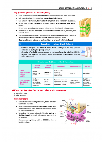 ProspekTUS Fakülte-Komite FİZYOLOJİ ProspekTUS Fakülte-Komite FİZYOLOJİ