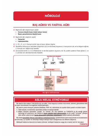 Prospektus Fakülte Staj Yönelik K.Stajlar ( 7.Baskı )