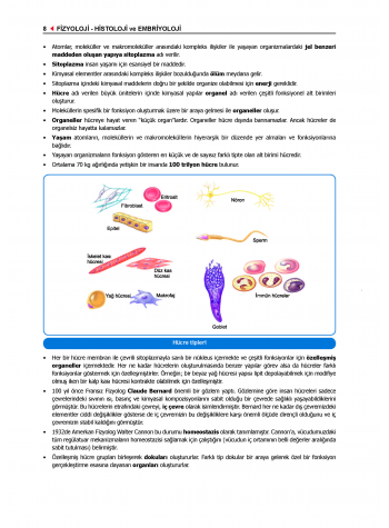 ProspekTUS FİZYOLOJİ ( 4.Baskı ) 