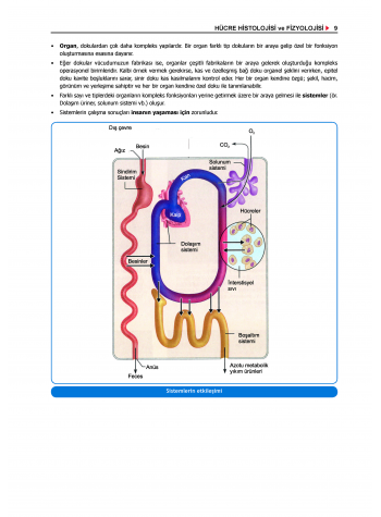 ProspekTUS FİZYOLOJİ ( 4.Baskı ) 