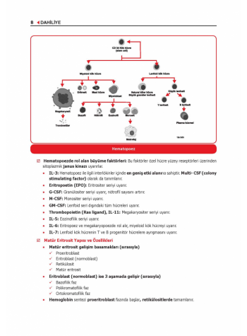 ProspekTUS Konu Dahiliye ( 10.Baskı )