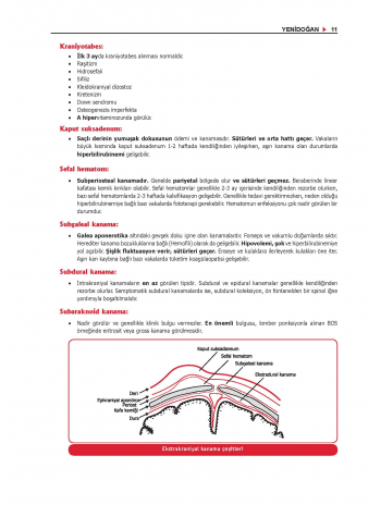 ProspekTUS Konu Kit. (7.Baskı) PEDİATRİ / 1.Cilt ve 2.Cilt