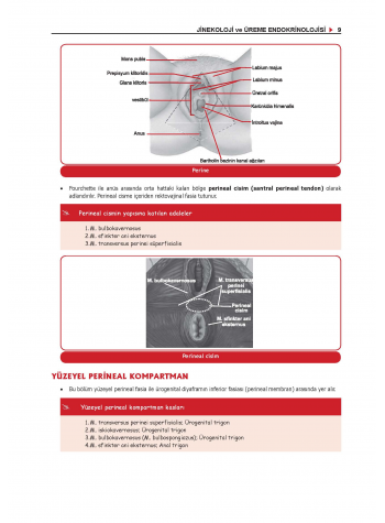 ProspekTUS Konu Kit. (9.Baskı) KADIN DOĞUM