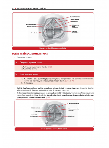 ProspekTUS Konu Kit. (9.Baskı) KADIN DOĞUM