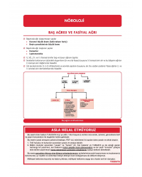 Prospektus Konu Küçük Stajlar ( 7.Baskı )-