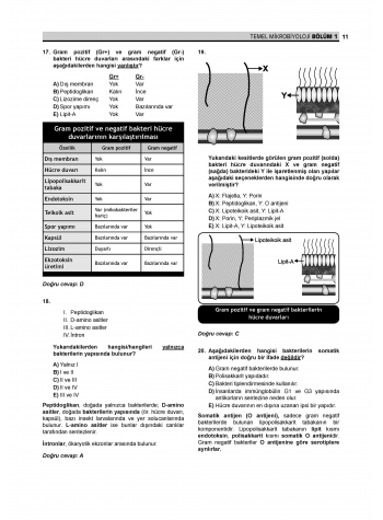 Prospektus Soruları Mikrobiyoloji Prospektus Soruları Mikrobiyoloji