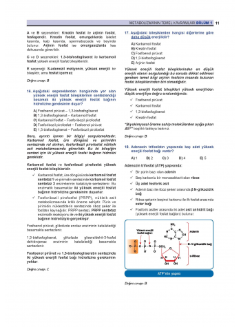 Prospektus Soruları Biyokimya