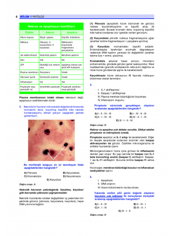 Prospektus Soruları Patoloji