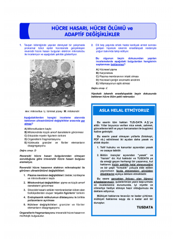 Prospektus Soruları Patoloji Prospektus Soruları Patoloji