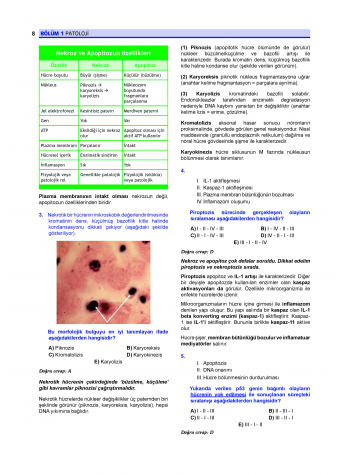 Prospektus Soruları Patoloji Prospektus Soruları Patoloji