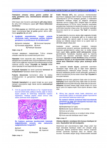 Prospektus Soruları Patoloji Prospektus Soruları Patoloji