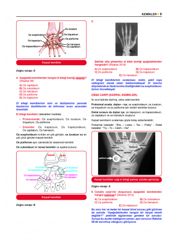 Prospektus Tüm Tus Soru ( 9.Baskı ) Anatomi