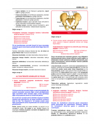 Prospektus Tüm Tus Soru ( 9.Baskı ) Anatomi