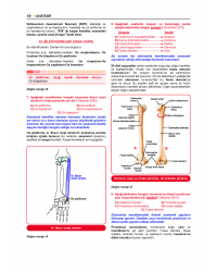 Prospektus Tüm Tus Soru ( 9.Baskı ) Anatomi