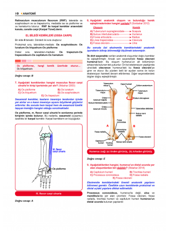 Prospektus Tüm Tus Soru ( 9.Baskı ) Anatomi