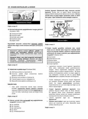 Prospektus Tüm Tus Soru ( 9.Baskı ) Kadın Doğum