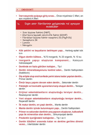 DUS Review Endodonti