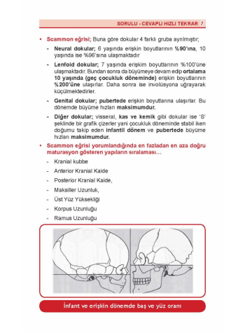 DUS Review Ortodonti 2. Baskı