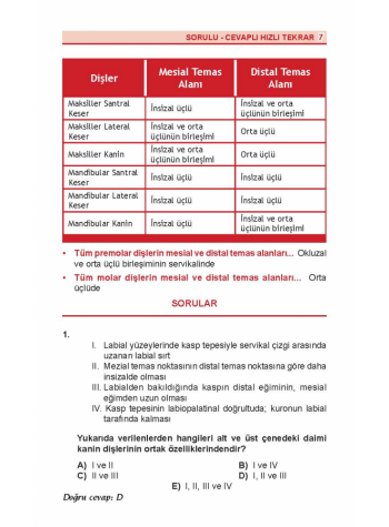 Dus Review Protetik Diş Tedavisi