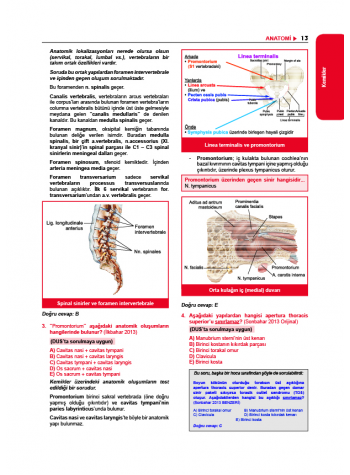 Tüm TUS Soruları ( 35.Baskı ) Anatomi Tüm TUS Soruları ( 35.Baskı ) Anatomi