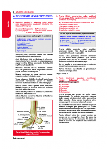Tüm TUS Soruları ( 35.Baskı ) Anatomi Tüm TUS Soruları ( 35.Baskı ) Anatomi