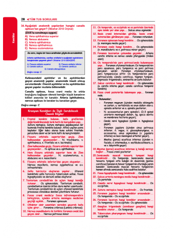 Tüm TUS Soruları ( 35.Baskı ) Anatomi