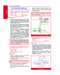 TÜM TUS SORULARI - Anatomi ( 29.Baskı )