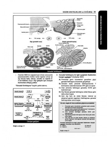 Tüm TUS Soruları ( 35.Baskı ) Kadın Doğum