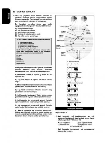 Tüm TUS Soruları ( 35.Baskı ) Küçük Stajlar