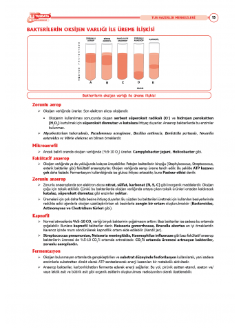 TUS Şampiyonların Notu ( 22.Baskı ) Mikrobiyoloji