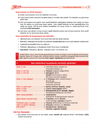 TUS Şampiyonların Notu ( 22.Baskı ) Mikrobiyoloji