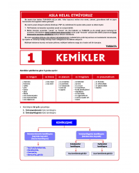 2024 - TUS Şampiyonların Notu - Anatomi / Erdinç