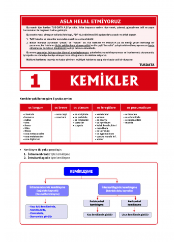 2024 - TUS Şampiyonların Notu - Anatomi / Erdinç 2024 - TUS Şampiyonların Notu - Anatomi / Erdinç