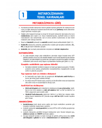 2024 - TUS Şampiyonların Notu - Biyokimya