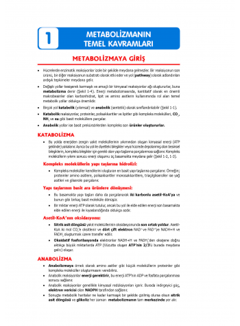 2024 - TUS Şampiyonların Notu - Biyokimya 2024 - TUS Şampiyonların Notu - Biyokimya