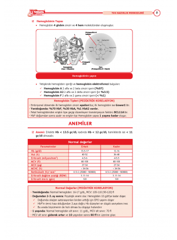 2024 - TUS Şampiyonların Notu - Dahiliye