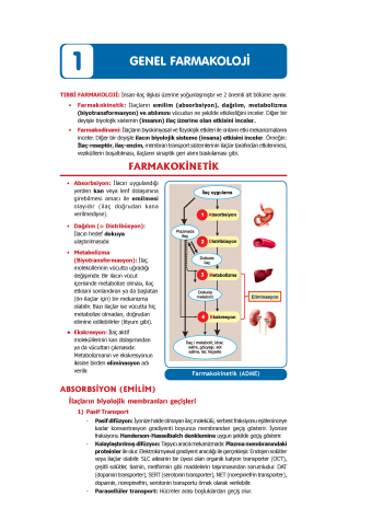 2024 - TUS Şampiyonların Notu - Farmakoloji