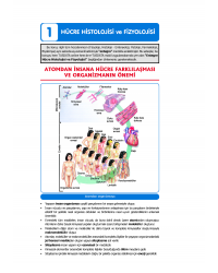 2024 - TUS Şampiyonların Notu - Fizyoloji