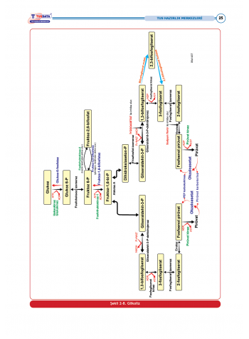 TUS Şampiyonların Notu ( 22.Baskı ) Biyokimya