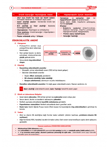 TUS Şampiyonların Notu ( 22.Baskı ) Dahiliye