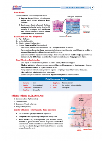 TUS Şampiyonların Notu ( 22.Baskı ) Fizyoloji